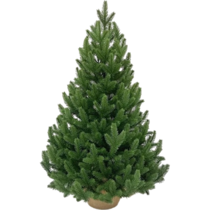 Ель TRIUMPH TREE БАВАРСКАЯ 100% литая 90 см в мешочке зеленая 72209